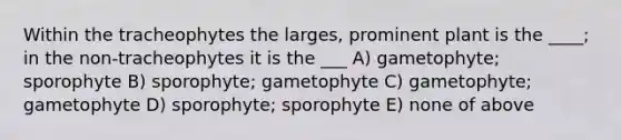 Within the tracheophytes the larges, prominent plant is the ____; in the non-tracheophytes it is the ___ A) gametophyte; sporophyte B) sporophyte; gametophyte C) gametophyte; gametophyte D) sporophyte; sporophyte E) none of above