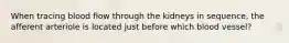 When tracing blood flow through the kidneys in sequence, the afferent arteriole is located just before which blood vessel?