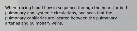 When tracing blood flow in sequence through the heart for both pulmonary and systemic circulations, one sees that the pulmonary capillaries are located between the pulmonary arteries and pulmonary veins.