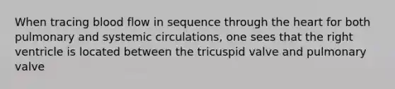 When tracing blood flow in sequence through <a href='https://www.questionai.com/knowledge/kya8ocqc6o-the-heart' class='anchor-knowledge'>the heart</a> for both pulmonary and systemic circulations, one sees that the right ventricle is located between the tricuspid valve and pulmonary valve