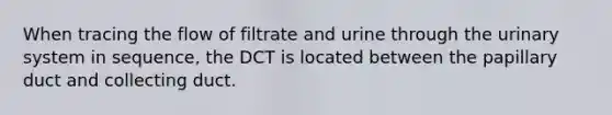 When tracing the flow of filtrate and urine through the urinary system in sequence, the DCT is located between the papillary duct and collecting duct.