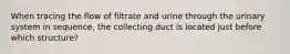 When tracing the flow of filtrate and urine through the urinary system in sequence, the collecting duct is located just before which structure?