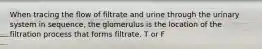 When tracing the flow of filtrate and urine through the urinary system in sequence, the glomerulus is the location of the filtration process that forms filtrate. T or F