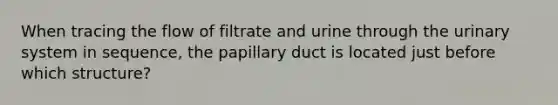 When tracing the flow of filtrate and urine through the urinary system in sequence, the papillary duct is located just before which structure?