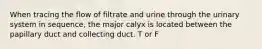 When tracing the flow of filtrate and urine through the urinary system in sequence, the major calyx is located between the papillary duct and collecting duct. T or F