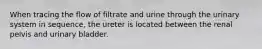 When tracing the flow of filtrate and urine through the urinary system in sequence, the ureter is located between the renal pelvis and urinary bladder.