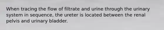 When tracing the flow of filtrate and urine through the urinary system in sequence, the ureter is located between the renal pelvis and <a href='https://www.questionai.com/knowledge/kb9SdfFdD9-urinary-bladder' class='anchor-knowledge'>urinary bladder</a>.