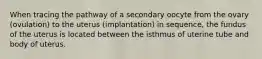 When tracing the pathway of a secondary oocyte from the ovary (ovulation) to the uterus (implantation) in sequence, the fundus of the uterus is located between the isthmus of uterine tube and body of uterus.