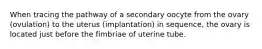 When tracing the pathway of a secondary oocyte from the ovary (ovulation) to the uterus (implantation) in sequence, the ovary is located just before the fimbriae of uterine tube.