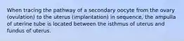 When tracing the pathway of a secondary oocyte from the ovary (ovulation) to the uterus (implantation) in sequence, the ampulla of uterine tube is located between the isthmus of uterus and fundus of uterus.