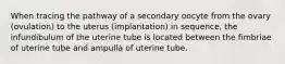 When tracing the pathway of a secondary oocyte from the ovary (ovulation) to the uterus (implantation) in sequence, the infundibulum of the uterine tube is located between the fimbriae of uterine tube and ampulla of uterine tube.