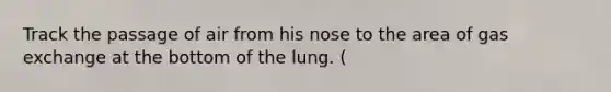 Track the passage of air from his nose to the area of gas exchange at the bottom of the lung. (