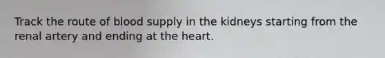 Track the route of blood supply in the kidneys starting from the renal artery and ending at <a href='https://www.questionai.com/knowledge/kya8ocqc6o-the-heart' class='anchor-knowledge'>the heart</a>.