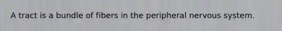 A tract is a bundle of fibers in the peripheral nervous system.