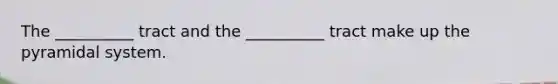 The __________ tract and the __________ tract make up the pyramidal system.