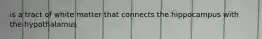 is a tract of white matter that connects the hippocampus with the hypothalamus