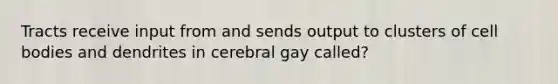 Tracts receive input from and sends output to clusters of cell bodies and dendrites in cerebral gay called?