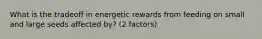 What is the tradeoff in energetic rewards from feeding on small and large seeds affected by? (2 factors)