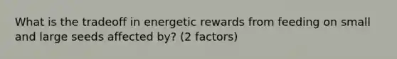 What is the tradeoff in energetic rewards from feeding on small and large seeds affected by? (2 factors)