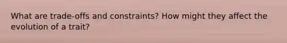 What are trade-offs and constraints? How might they affect the evolution of a trait?