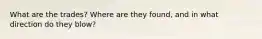 What are the trades? Where are they found, and in what direction do they blow?