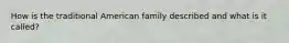 How is the traditional American family described and what is it called?