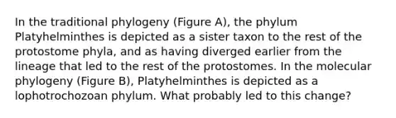 In the traditional phylogeny (Figure A), the phylum Platyhelminthes is depicted as a sister taxon to the rest of the protostome phyla, and as having diverged earlier from the lineage that led to the rest of the protostomes. In the molecular phylogeny (Figure B), Platyhelminthes is depicted as a lophotrochozoan phylum. What probably led to this change?