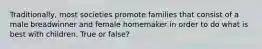 Traditionally, most societies promote families that consist of a male breadwinner and female homemaker in order to do what is best with children. True or false?