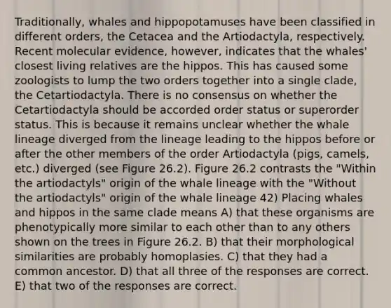 Traditionally, whales and hippopotamuses have been classified in different orders, the Cetacea and the Artiodactyla, respectively. Recent molecular evidence, however, indicates that the whales' closest living relatives are the hippos. This has caused some zoologists to lump the two orders together into a single clade, the Cetartiodactyla. There is no consensus on whether the Cetartiodactyla should be accorded order status or superorder status. This is because it remains unclear whether the whale lineage diverged from the lineage leading to the hippos before or after the other members of the order Artiodactyla (pigs, camels, etc.) diverged (see Figure 26.2). Figure 26.2 contrasts the "Within the artiodactyls" origin of the whale lineage with the "Without the artiodactyls" origin of the whale lineage 42) Placing whales and hippos in the same clade means A) that these organisms are phenotypically more similar to each other than to any others shown on the trees in Figure 26.2. B) that their morphological similarities are probably homoplasies. C) that they had a common ancestor. D) that all three of the responses are correct. E) that two of the responses are correct.