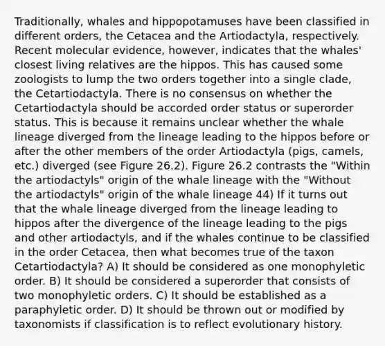 Traditionally, whales and hippopotamuses have been classified in different orders, the Cetacea and the Artiodactyla, respectively. Recent molecular evidence, however, indicates that the whales' closest living relatives are the hippos. This has caused some zoologists to lump the two orders together into a single clade, the Cetartiodactyla. There is no consensus on whether the Cetartiodactyla should be accorded order status or superorder status. This is because it remains unclear whether the whale lineage diverged from the lineage leading to the hippos before or after the other members of the order Artiodactyla (pigs, camels, etc.) diverged (see Figure 26.2). Figure 26.2 contrasts the "Within the artiodactyls" origin of the whale lineage with the "Without the artiodactyls" origin of the whale lineage 44) If it turns out that the whale lineage diverged from the lineage leading to hippos after the divergence of the lineage leading to the pigs and other artiodactyls, and if the whales continue to be classified in the order Cetacea, then what becomes true of the taxon Cetartiodactyla? A) It should be considered as one monophyletic order. B) It should be considered a superorder that consists of two monophyletic orders. C) It should be established as a paraphyletic order. D) It should be thrown out or modified by taxonomists if classification is to reflect evolutionary history.