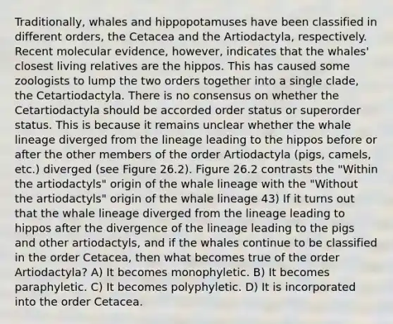 Traditionally, whales and hippopotamuses have been classified in different orders, the Cetacea and the Artiodactyla, respectively. Recent molecular evidence, however, indicates that the whales' closest living relatives are the hippos. This has caused some zoologists to lump the two orders together into a single clade, the Cetartiodactyla. There is no consensus on whether the Cetartiodactyla should be accorded order status or superorder status. This is because it remains unclear whether the whale lineage diverged from the lineage leading to the hippos before or after the other members of the order Artiodactyla (pigs, camels, etc.) diverged (see Figure 26.2). Figure 26.2 contrasts the "Within the artiodactyls" origin of the whale lineage with the "Without the artiodactyls" origin of the whale lineage 43) If it turns out that the whale lineage diverged from the lineage leading to hippos after the divergence of the lineage leading to the pigs and other artiodactyls, and if the whales continue to be classified in the order Cetacea, then what becomes true of the order Artiodactyla? A) It becomes monophyletic. B) It becomes paraphyletic. C) It becomes polyphyletic. D) It is incorporated into the order Cetacea.