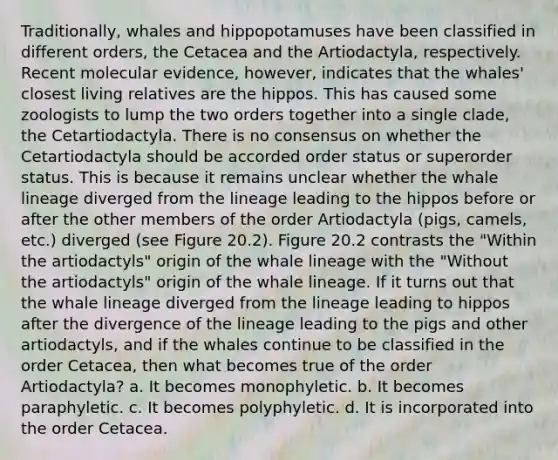 Traditionally, whales and hippopotamuses have been classified in different orders, the Cetacea and the Artiodactyla, respectively. Recent molecular evidence, however, indicates that the whales' closest living relatives are the hippos. This has caused some zoologists to lump the two orders together into a single clade, the Cetartiodactyla. There is no consensus on whether the Cetartiodactyla should be accorded order status or superorder status. This is because it remains unclear whether the whale lineage diverged from the lineage leading to the hippos before or after the other members of the order Artiodactyla (pigs, camels, etc.) diverged (see Figure 20.2). Figure 20.2 contrasts the "Within the artiodactyls" origin of the whale lineage with the "Without the artiodactyls" origin of the whale lineage. If it turns out that the whale lineage diverged from the lineage leading to hippos after the divergence of the lineage leading to the pigs and other artiodactyls, and if the whales continue to be classified in the order Cetacea, then what becomes true of the order Artiodactyla? a. It becomes monophyletic. b. It becomes paraphyletic. c. It becomes polyphyletic. d. It is incorporated into the order Cetacea.