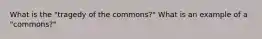 What is the "tragedy of the commons?" What is an example of a "commons?"