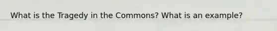 What is the Tragedy in the Commons? What is an example?