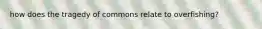 how does the tragedy of commons relate to overfishing?