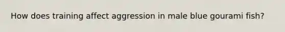 How does training affect aggression in male blue gourami fish?
