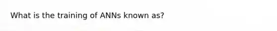 What is the training of ANNs known as?