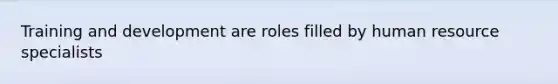 Training and development are roles filled by human resource specialists