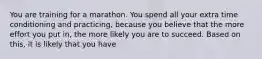 You are training for a marathon. You spend all your extra time conditioning and practicing, because you believe that the more effort you put in, the more likely you are to succeed. Based on this, it is likely that you have