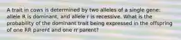 A trait in cows is determined by two alleles of a single gene: allele R is dominant, and allele r is recessive. What is the probability of the dominant trait being expressed in the offspring of one RR parent and one rr parent?