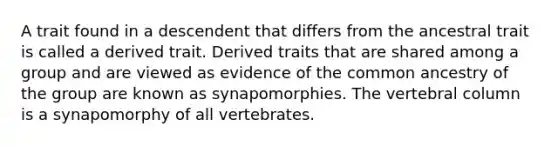 A trait found in a descendent that differs from the ancestral trait is called a derived trait. Derived traits that are shared among a group and are viewed as evidence of the common ancestry of the group are known as synapomorphies. The vertebral column is a synapomorphy of all vertebrates.