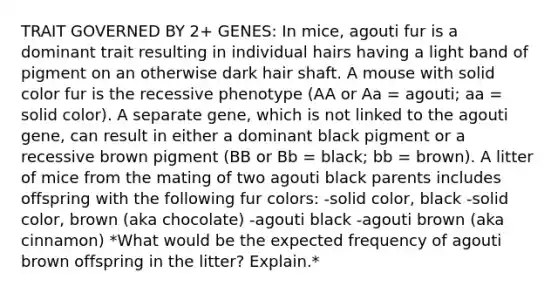 TRAIT GOVERNED BY 2+ GENES: In mice, agouti fur is a dominant trait resulting in individual hairs having a light band of pigment on an otherwise dark hair shaft. A mouse with solid color fur is the recessive phenotype (AA or Aa = agouti; aa = solid color). A separate gene, which is not linked to the agouti gene, can result in either a dominant black pigment or a recessive brown pigment (BB or Bb = black; bb = brown). A litter of mice from the mating of two agouti black parents includes offspring with the following fur colors: -solid color, black -solid color, brown (aka chocolate) -agouti black -agouti brown (aka cinnamon) *What would be the expected frequency of agouti brown offspring in the litter? Explain.*