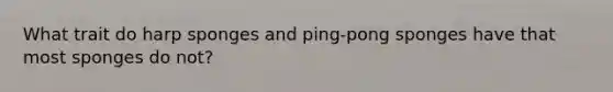 What trait do harp sponges and ping-pong sponges have that most sponges do not?