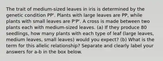 The trait of medium-sized leaves in iris is determined by the genetic condition PP'. Plants with large leaves are PP, while plants with small leaves are P'P'. A cross is made between two plants each with medium-sized leaves. (a) If they produce 80 seedlings, how many plants with each type of leaf (large leaves, medium leaves, small leaves) would you expect? (b) What is the term for this allelic relationship? Separate and clearly label your answers for a-b in the box below.