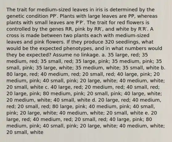 The trait for medium-sized leaves in iris is determined by the genetic condition PP′. Plants with large leaves are PP, whereas plants with small leaves are P′P′. The trait for red flowers is controlled by the genes RR, pink by RR′, and white by R′R′. A cross is made between two plants each with medium-sized leaves and pink flowers. If they produce 320 seedlings, what would be the expected phenotypes, and in what numbers would they be expected? Assume no linkage. a. 35 large, red; 35 medium, red; 35 small, red; 35 large, pink; 35 medium, pink; 35 small, pink; 35 large, white; 35 medium, white; 35 small, white b. 80 large, red; 40 medium, red; 20 small, red; 40 large, pink; 20 medium, pink; 40 small, pink; 20 large, white; 40 medium, white; 20 small, white c. 40 large, red; 20 medium, red; 40 small, red; 20 large, pink; 80 medium, pink; 20 small, pink; 40 large, white; 20 medium, white; 40 small, white d. 20 large, red; 40 medium, red; 20 small, red; 80 large, pink; 40 medium, pink; 40 small, pink; 20 large, white; 40 medium, white; 20 small, white e. 20 large, red; 40 medium, red; 20 small, red; 40 large, pink; 80 medium, pink; 40 small, pink; 20 large, white; 40 medium, white; 20 small, white