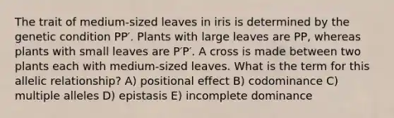 The trait of medium-sized leaves in iris is determined by the genetic condition PP′. Plants with large leaves are PP, whereas plants with small leaves are P′P′. A cross is made between two plants each with medium-sized leaves. What is the term for this allelic relationship? A) positional effect B) codominance C) multiple alleles D) epistasis E) incomplete dominance