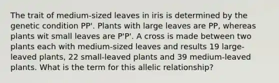 The trait of medium-sized leaves in iris is determined by the genetic condition PP'. Plants with large leaves are PP, whereas plants wit small leaves are P'P'. A cross is made between two plants each with medium-sized leaves and results 19 large-leaved plants, 22 small-leaved plants and 39 medium-leaved plants. What is the term for this allelic relationship?