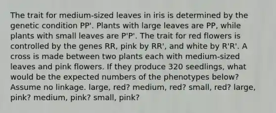 The trait for medium-sized leaves in iris is determined by the genetic condition PP'. Plants with large leaves are PP, while plants with small leaves are P'P'. The trait for red flowers is controlled by the genes RR, pink by RR', and white by R'R'. A cross is made between two plants each with medium-sized leaves and pink flowers. If they produce 320 seedlings, what would be the expected numbers of the phenotypes below? Assume no linkage. large, red? medium, red? small, red? large, pink? medium, pink? small, pink?