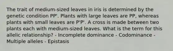 The trait of medium-sized leaves in iris is determined by the genetic condition PP'. Plants with large leaves are PP, whereas plants with small leaves are P'P'. A cross is made between two plants each with medium-sized leaves. What is the term for this allelic relationship? - Incomplete dominance - Codominance - Multiple alleles - Epistasis