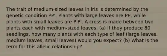 The trait of medium-sized leaves in iris is determined by the genetic condition PP'. Plants with large leaves are PP, while plants with small leaves are P'P'. A cross is made between two plants each with medium-sized leaves. (a) If they produce 80 seedlings, how many plants with each type of leaf (large leaves, medium leaves, small leaves) would you expect? (b) What is the term for this allelic relationship?